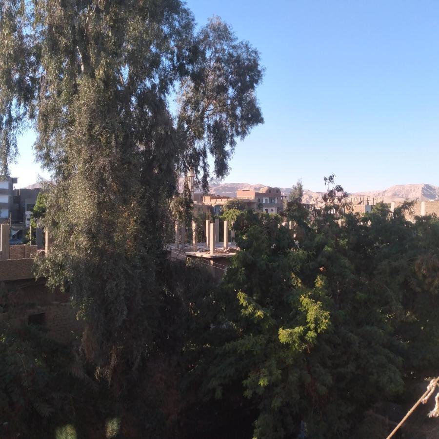Ali Habou Apartman Luxor Kültér fotó